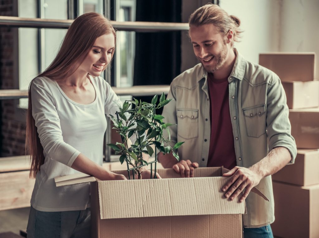9 conseils pour un déménagement de plantes intérieures et extérieures